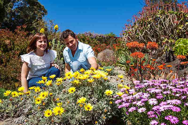 Beautiful Photos From Some Of Australia’s Spring Flower Festivals!