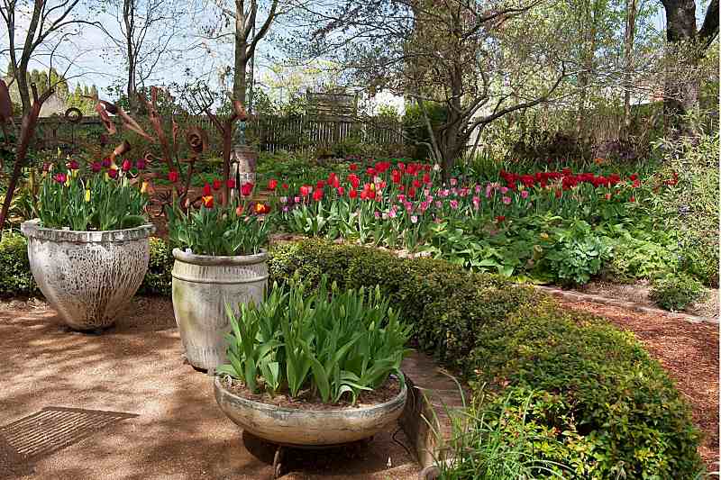 Beautiful Photos From Some Of Australia’s Spring Flower Festivals!