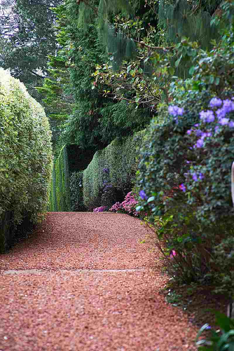 Beautiful Photos From Some Of Australia’s Spring Flower Festivals!