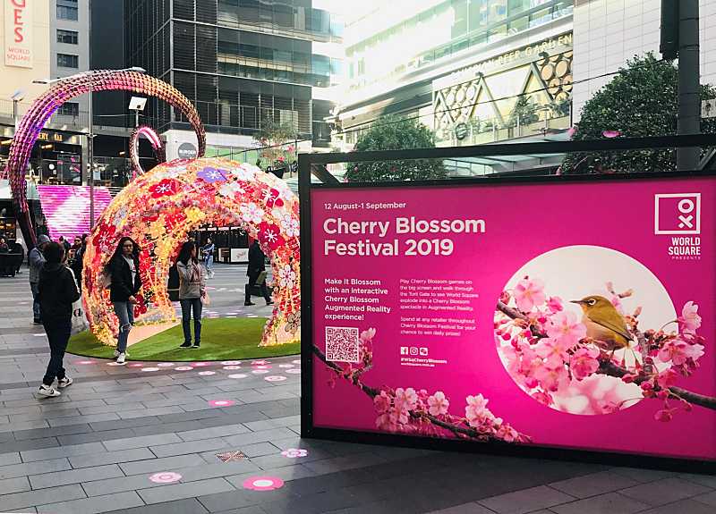 Beautiful Photos From Some Of Australia’s Spring Flower Festivals!