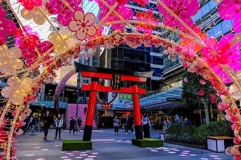 Beautiful Photos From Some Of Australia’s Spring Flower Festivals!