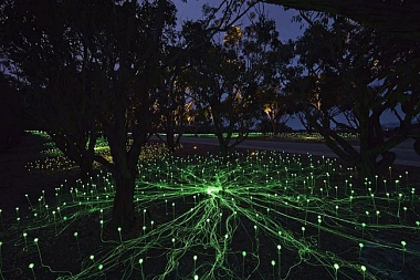 THERE’S A FIELD FILLED WITH LIGHTS SOMEWHERE IN WESTERN AUSTRALIA