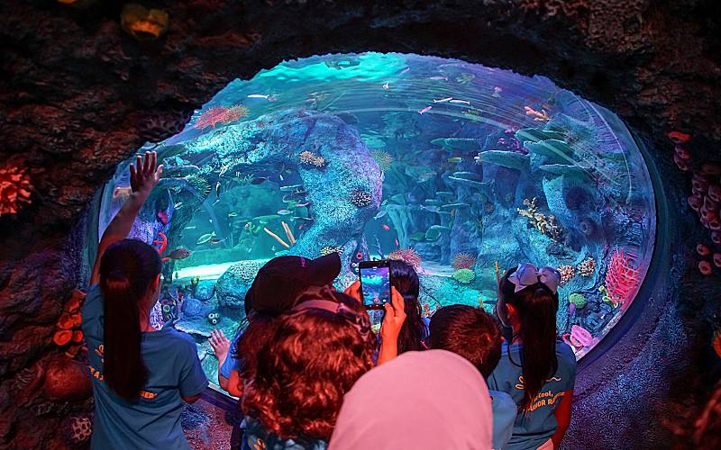 SEA LIFE, THE WORLD’S LARGEST AQUARIUM BRAND IS NOW IN MALAYSIA!