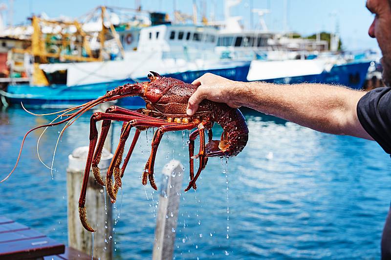 Your Guide to a Muslim-Friendly Food Trip in Western Australia