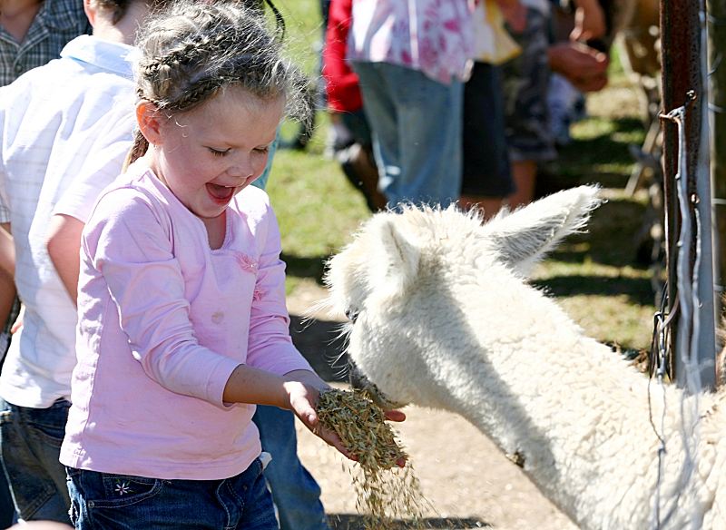 12 Family Friendly Activities In New South Wales! 