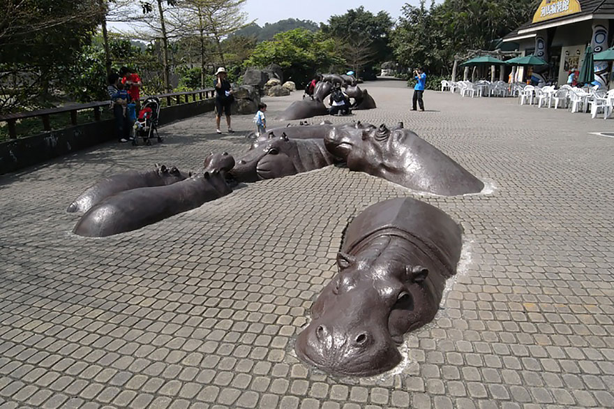 Hippo