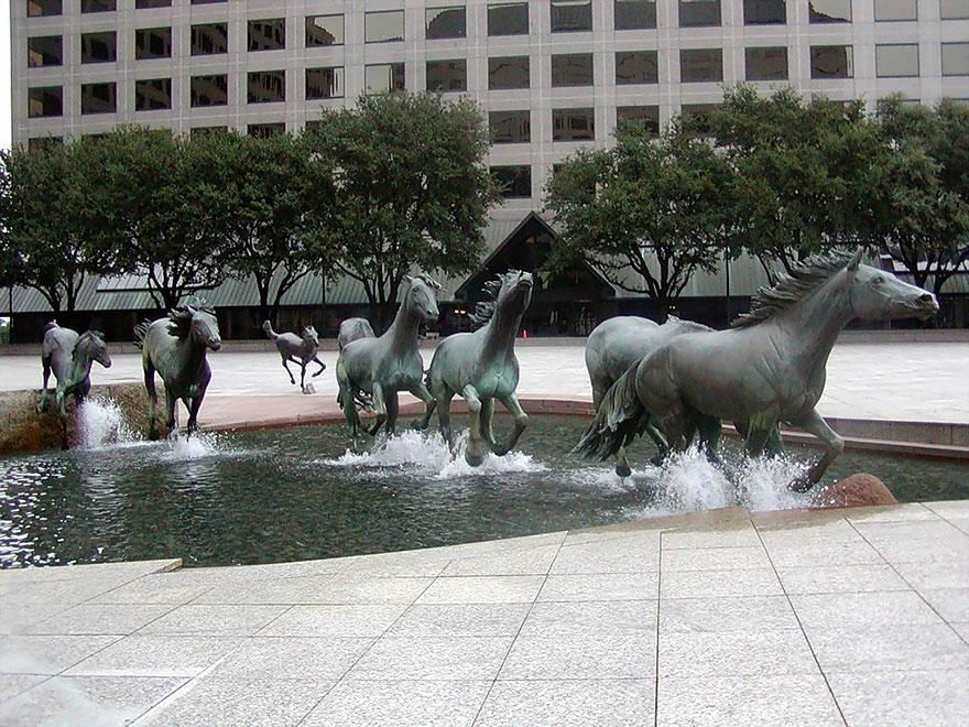 Mustangs