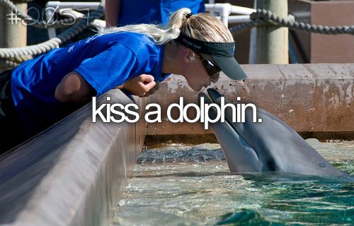 Kiss Dolphin