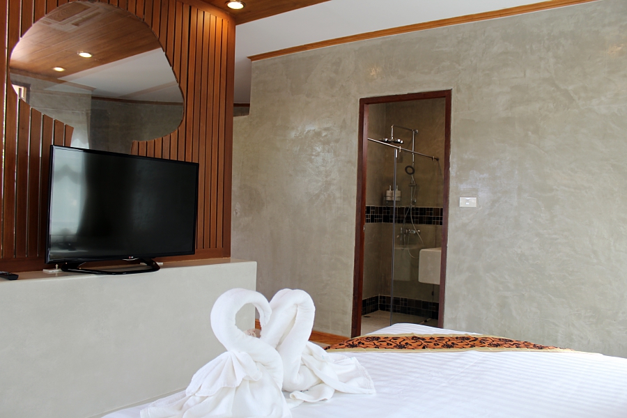 TV and restroom
