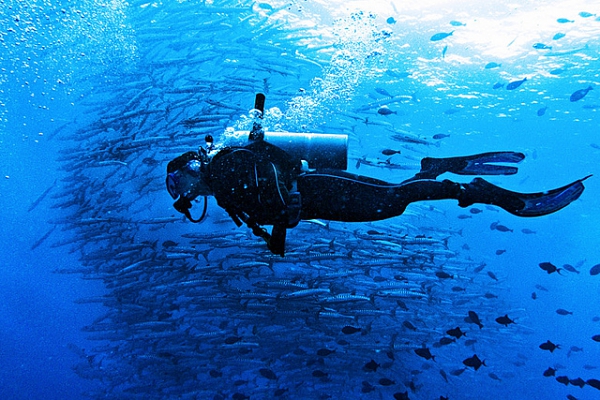 Barracuda Point, Sipadan Island, Malaysia