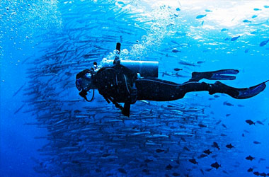 INTO THE BLUE: 5 BEST DIVING SPOTS IN SOUTHEAST ASIA!
