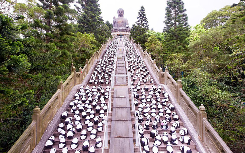 Paper Panda at Tian Tan Buddha