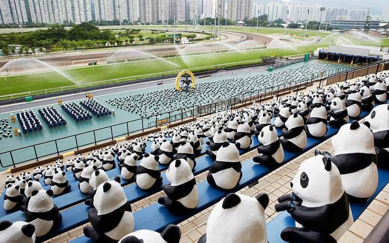 Paper Panda at Sha Tin Race course