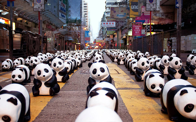 Panda HK Streets