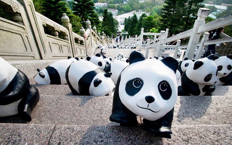 PANDAS SPOTTED ALL AROUND HONG KONG! 