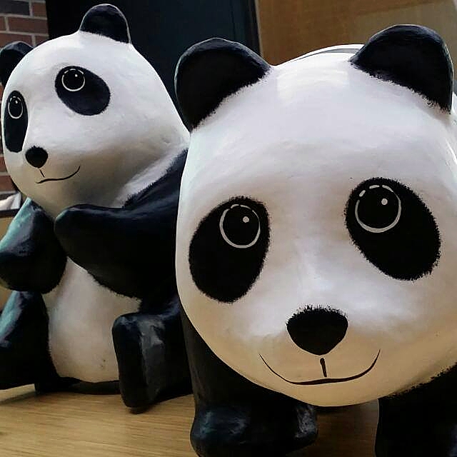 1600 Panda World Tour In Malaysia!