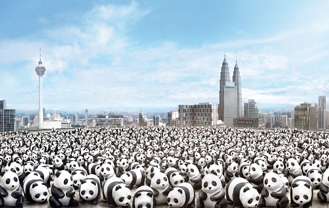 1600 Panda World Tour In Malaysia
