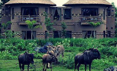 5 SUPER COOL ECO-HOTELS IN BALI!