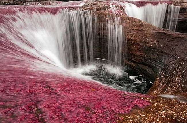 Caño Cristales