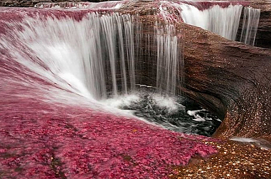 THE RIVER THAT RAN AWAY FROM PARADISE!