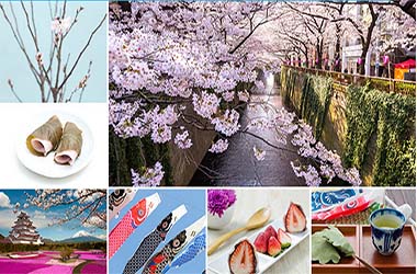 【ANA】KUALA LUMPUR TO TOKYO PROMO!!!