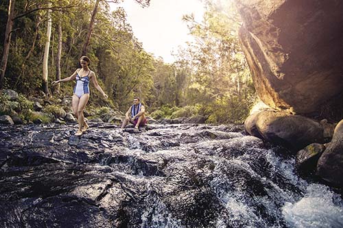 【EMBRACE GOLD COAST】LET'S EXPLORE THE TRUE NATURE IN GOLD COAST