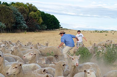 ►TASMANIA◄ HOBART AND SOUTH