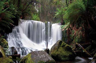 TASMANIAN SUMMERS