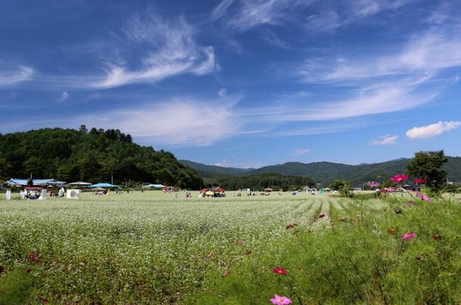 【韩国｜江原道】平昌蓬坪的精彩景点